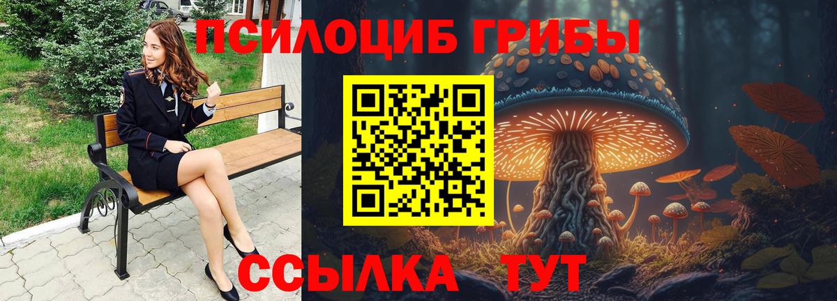 Мурино  Псилоцибиновые грибы мухоморы  Вход с VPN 